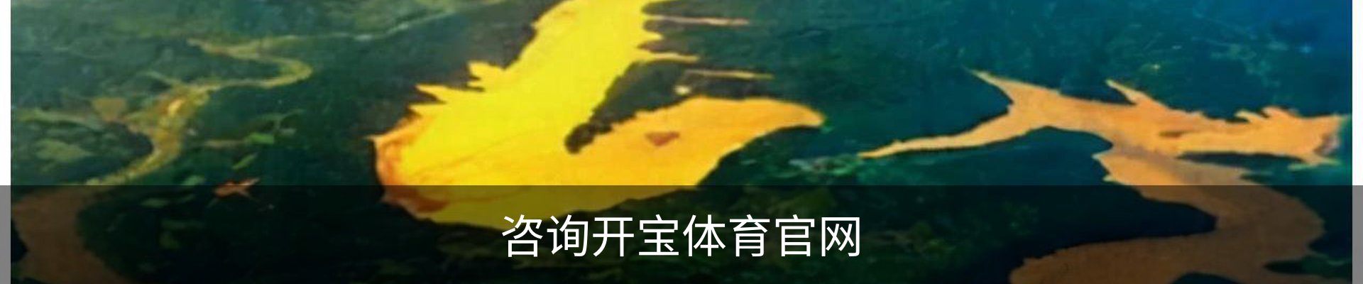 咨询开宝体育官网